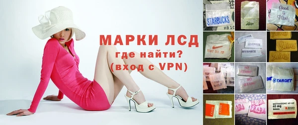 индика Саяногорск