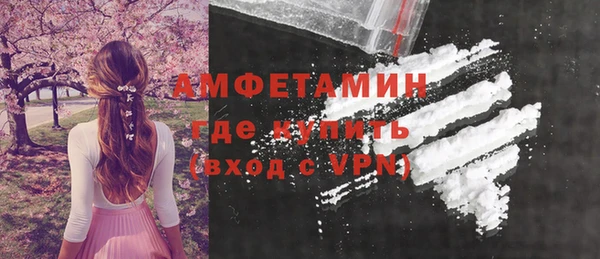 индика Саяногорск