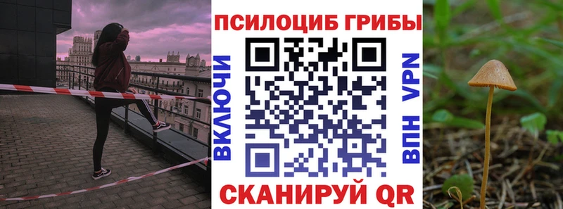 Галлюциногенные грибы Psilocybine cubensis  мега как зайти  Нижнеудинск 
